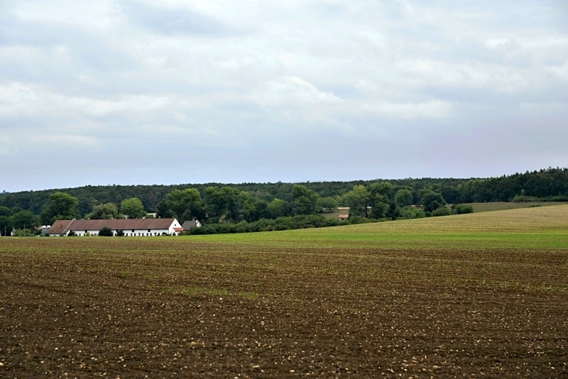 Viničná Lhota